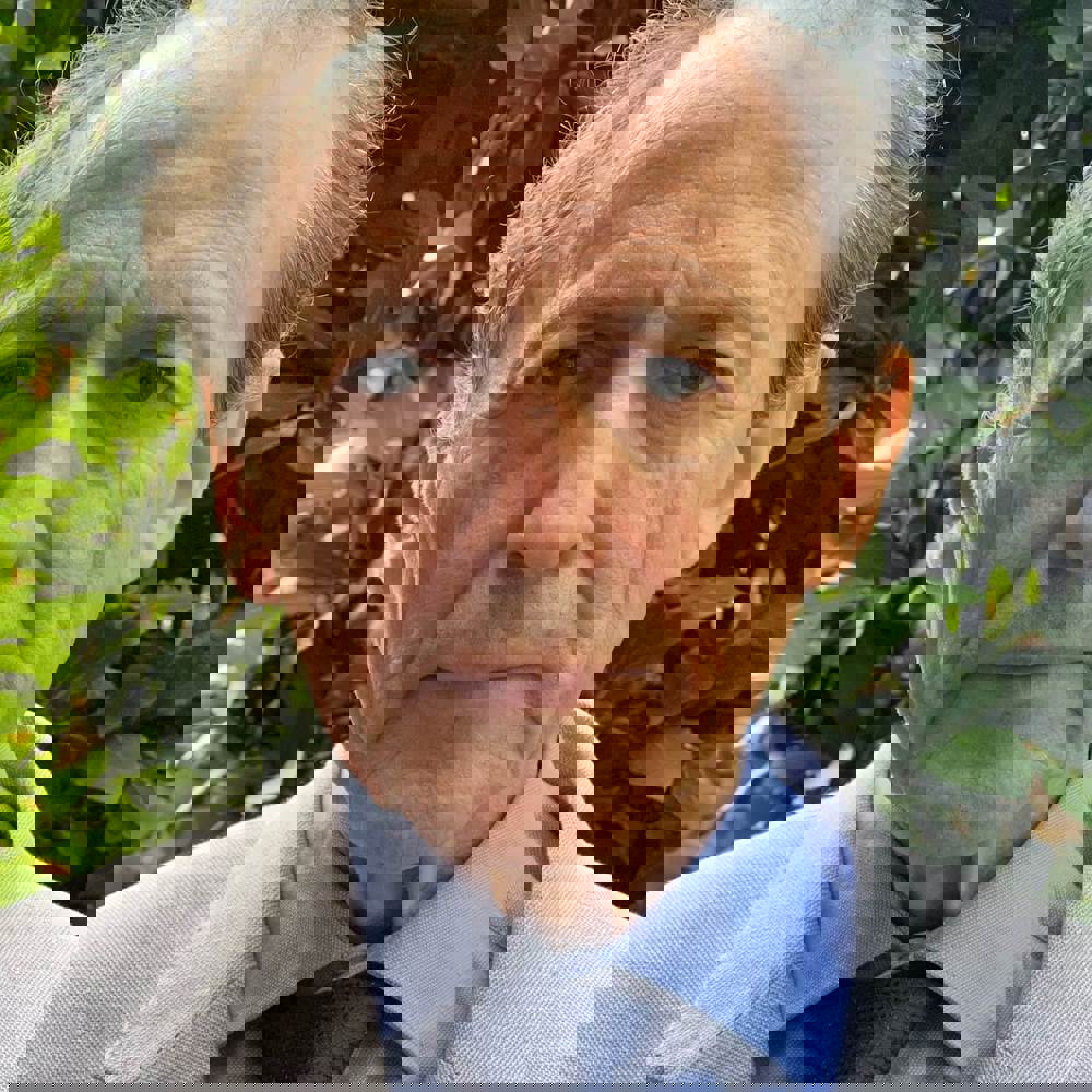 Podoleanu 2