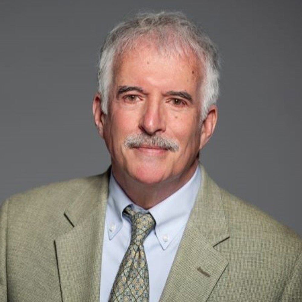 Headshot of Professor Robert Zimmerman FREng