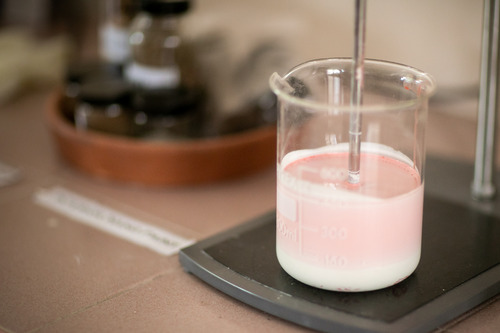 Photo of Mizu Paint being developed.