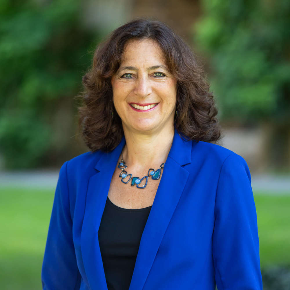 Professor Andrea Goldsmith portrait
