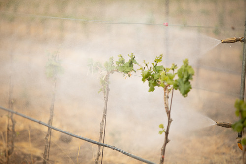 Photo of Neptunus Biotech in action.