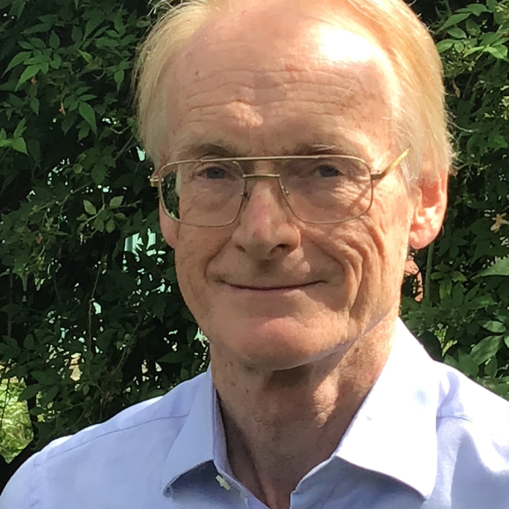Professor Richard Stone Freng 2