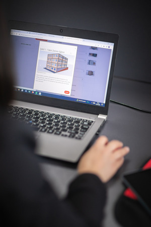 Photo of Vesile looking at a laptop.