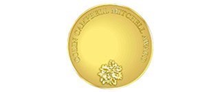 Royal Academy of Engineering Colin Campbell Mitchell Award medal