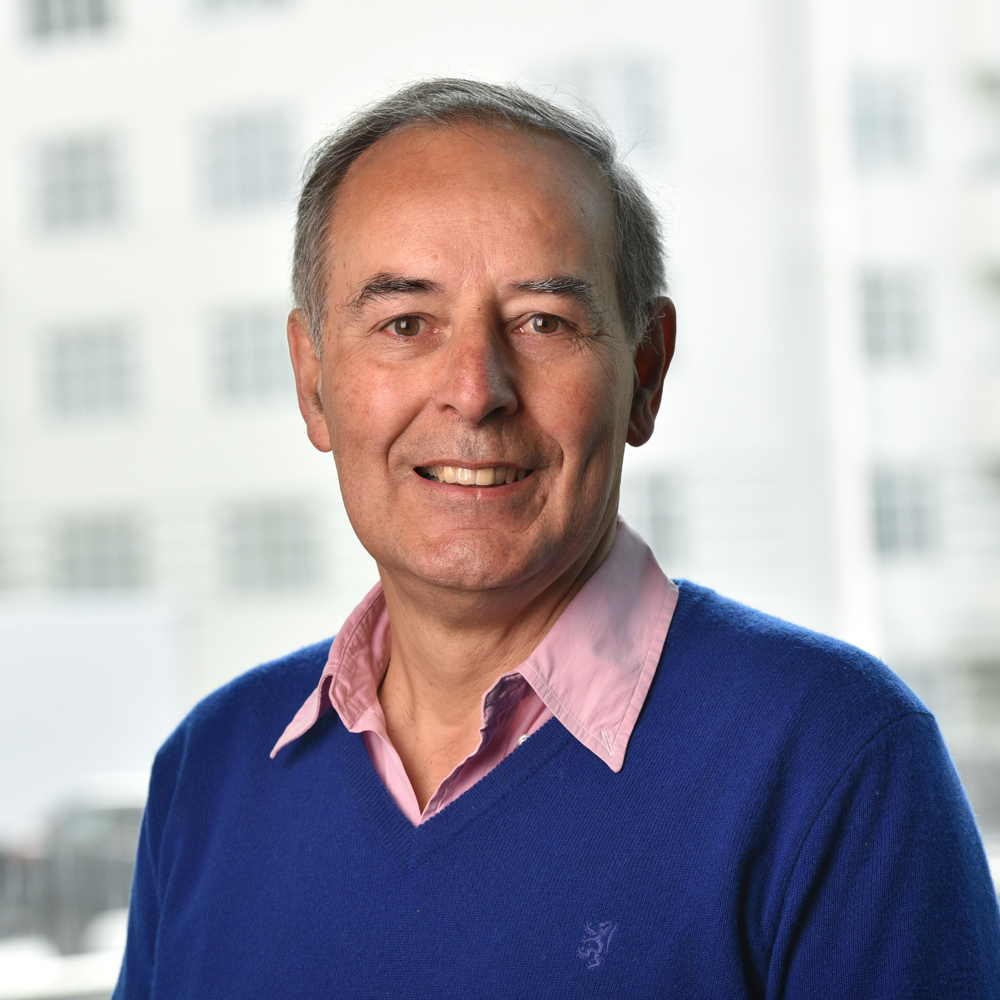 Professor Sandro Macchietto Freng 2