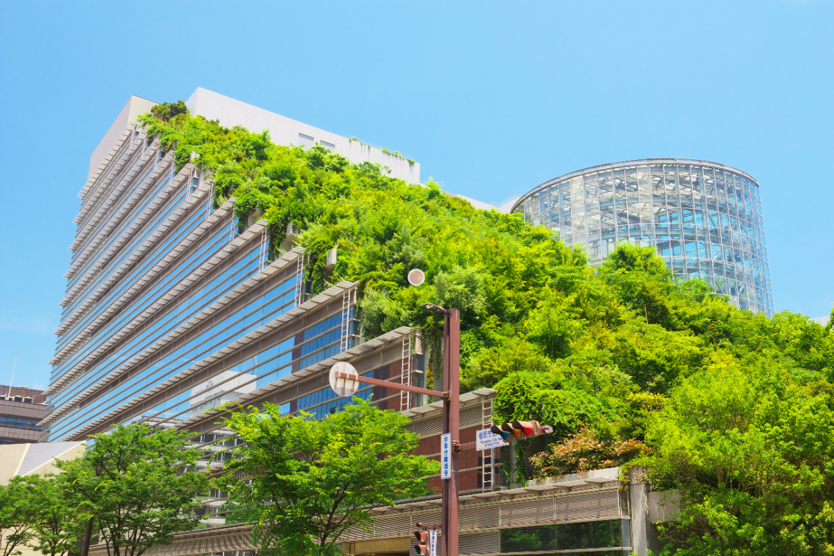 Building with green living roof