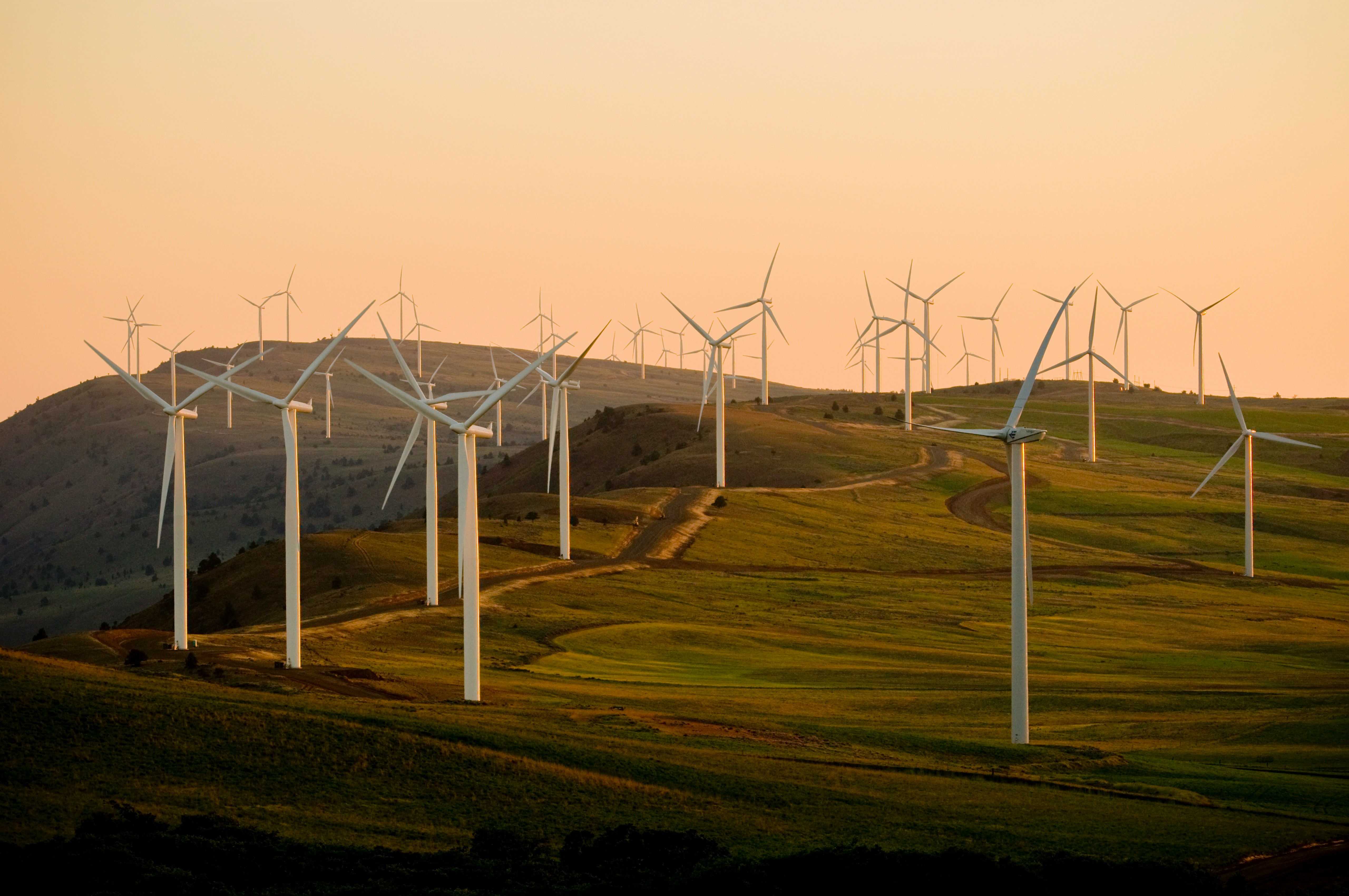 A wind farm at sunset