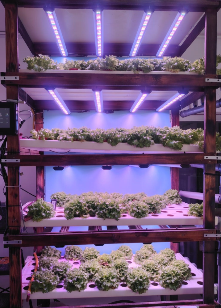 CEA farm picture