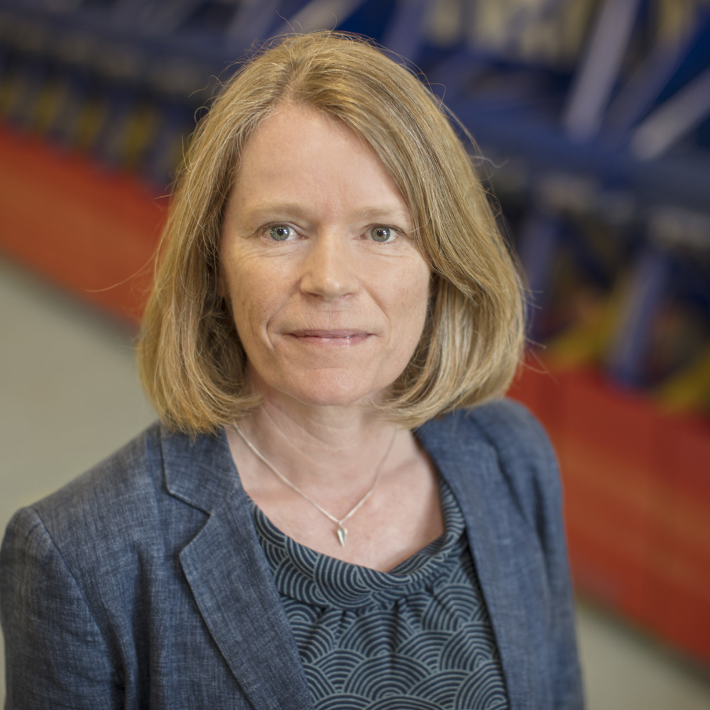 Professor Deborah Mary Greaves Freng 2